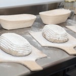 IMG_5148 IMG_5148