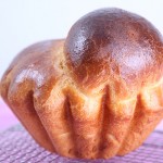 brioche1
