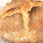 nokneadbread1