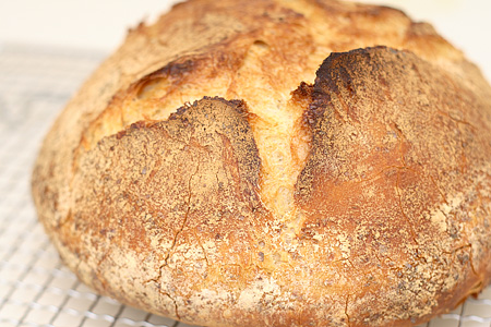nokneadbread1