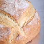rofcowhitebread1