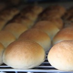 wittebollen