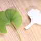 Cookie cutter - Ginkgo Leaf