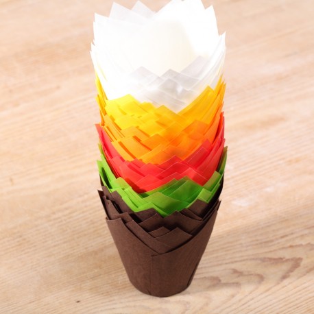 Tulip muffin cups multi color set