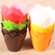 Tulip muffin cups multi color set