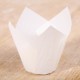 Tulip muffin cups Snow White - bodem Ø5cm - 24 stuks