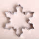 Snowflake / ice crystal