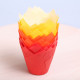 Tulip muffin cups Autumn
