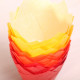 Tulip muffin cups Autumn