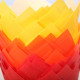 Tulip muffin cups Autumn