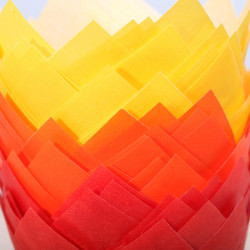 Tulip muffin cups Autumn