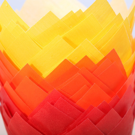 Tulip muffin cups Autumn