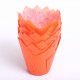 Tulip muffin cups Orange