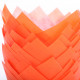 Tulip muffin cups Oranje! - Ø bodem 5 cm - 24 stuks