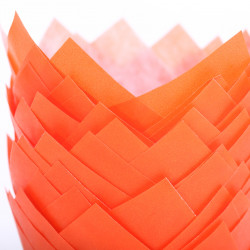 Tulip muffin cups Oranje Boven! - Ø bodem 5 cm - 24 stuks