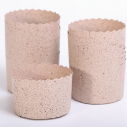 Baking Cups Panettone Mini Cacao  Ø7 x H5 cm - 24 stuks