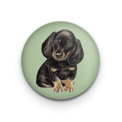 Fridge magnet - Dachshund puppy