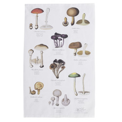 Dishcloth - Mushrooms - organic cotton