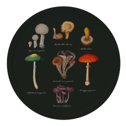 Dienblad - Mushrooms - Noords Berkenfineer