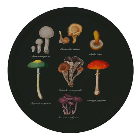 Dienblad - Mushrooms - Noords Berkenfineer