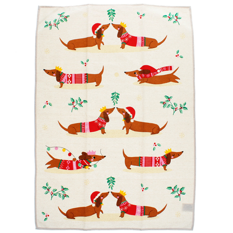 Hundreds of sausage dogs and their owners dress up in their festive