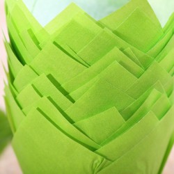 Tulip muffin cups Green - Ø bodem 5 cm - 24 stuks