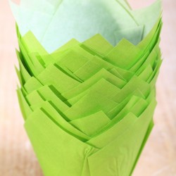 Tulip muffin cups Grass Green - Ø bodem 5 cm - 24 stuks