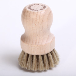 Mushroom Brush