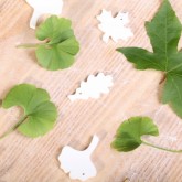 Cookie cutter ornaments - my personal favorite is the ginkgo biloba leaf - we have two trees in our own garden