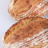 First look at the Baguette Batard
