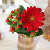 A Touch of Burgundy: 7 Tips for a Festive Christmas Table