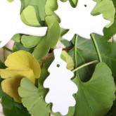 Homemade cookie cutter ornaments