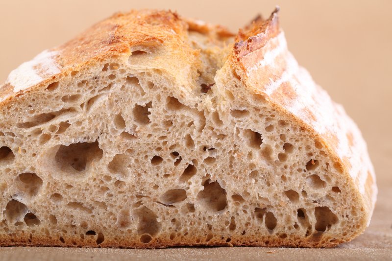 San francisco clearance sourdough starter