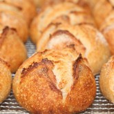 Sourdough mini boules