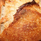 Sourdough mini boules