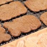 Speculaas Windmills