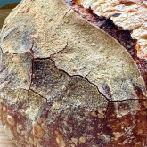 Weekend Bakery  No Knead Sourdough