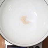 This is what 0.1 gram of yeast looks like