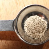 0.1 gram of yeast in a 1/4 teaspoon
