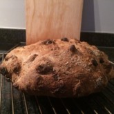 Alfred - muesli brood met cranberries en walnoten - nog oefenen met shaping maar het brood smaakt fantastisch!