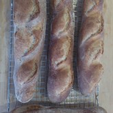 Darna Weinstein - The other Weekend Bakery baguette recipe