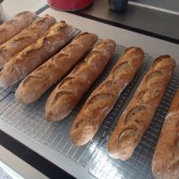 Darna Weinstein - Baguettes with blond linseed.jpg