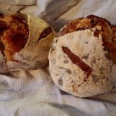 Jenie van Oosten - First attempt at Pain Rustique with new Rye Starter