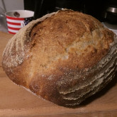 Mitch - love making sourdough, still get a thrill when ever i see the starter all bubbly