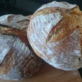 Trish - San Francisco Sourdough: 4 day SF...love it