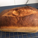 Sue Hawes - Pain Naturel and soft sourdough rolls