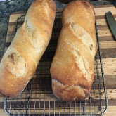 Jim Meyer -  sourdough mini-boules baked in shape of batards