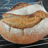 Leander - Wheat sourdough with Pain Rustique as a base