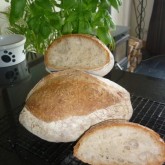 Claartje Baguette Boule with-10-whole-wheat-flour