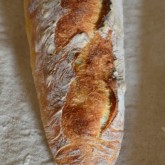 Yang - 80% hydration baguette